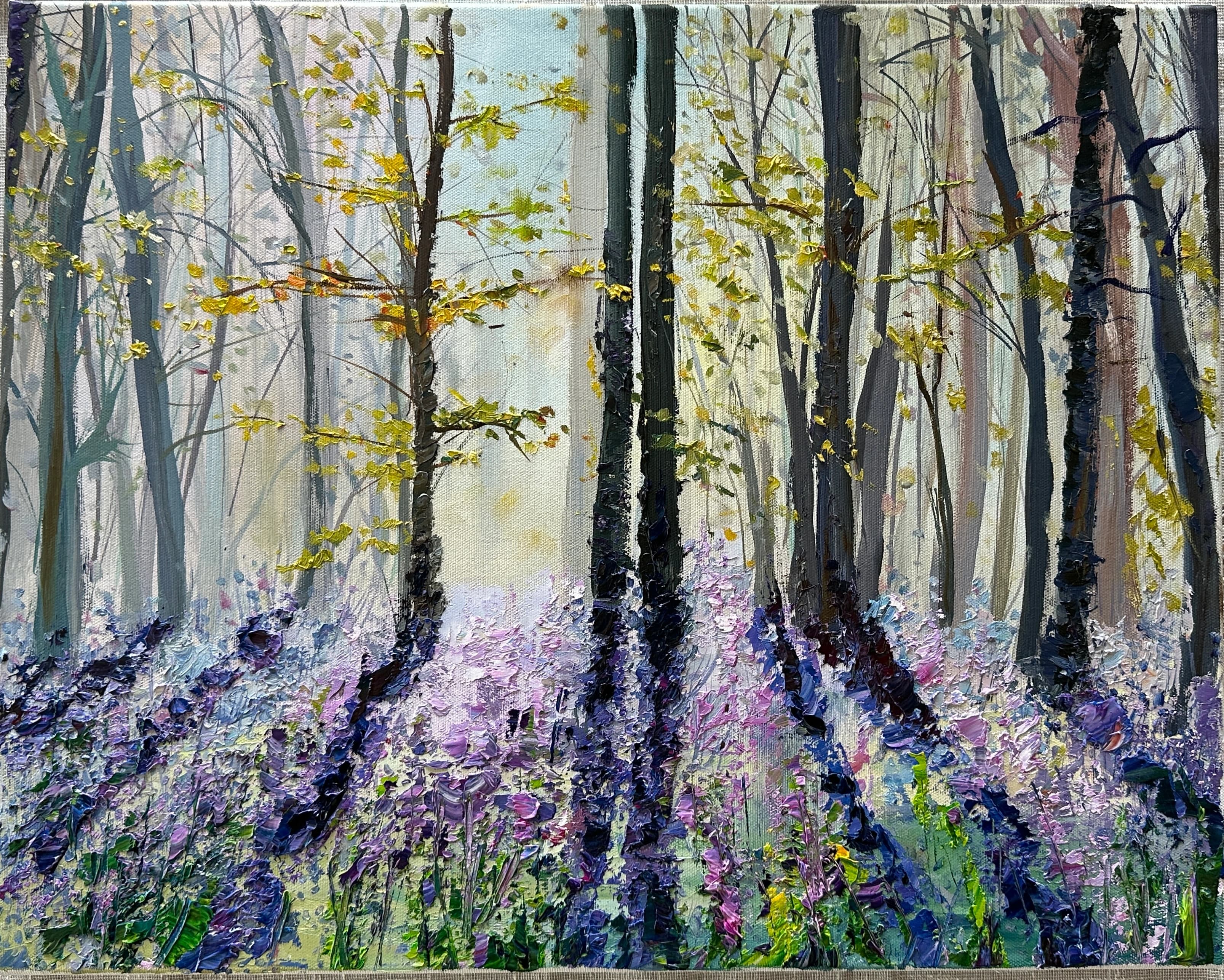 Bluebell Forest