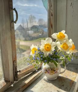 Reference photo for Daffodils by the Window Oil Painting Reyhan Uyanik