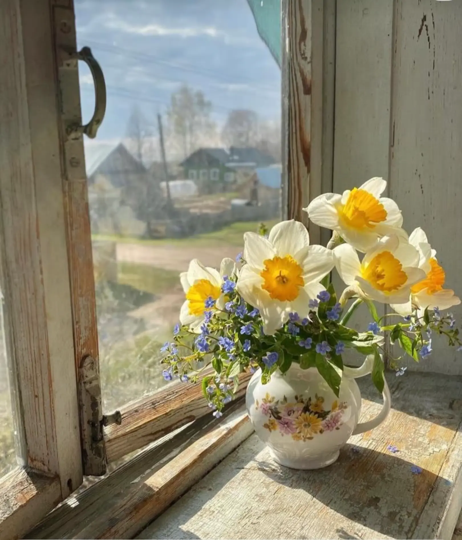 Reference photo for Daffodils by the Window Oil Painting Reyhan Uyanik