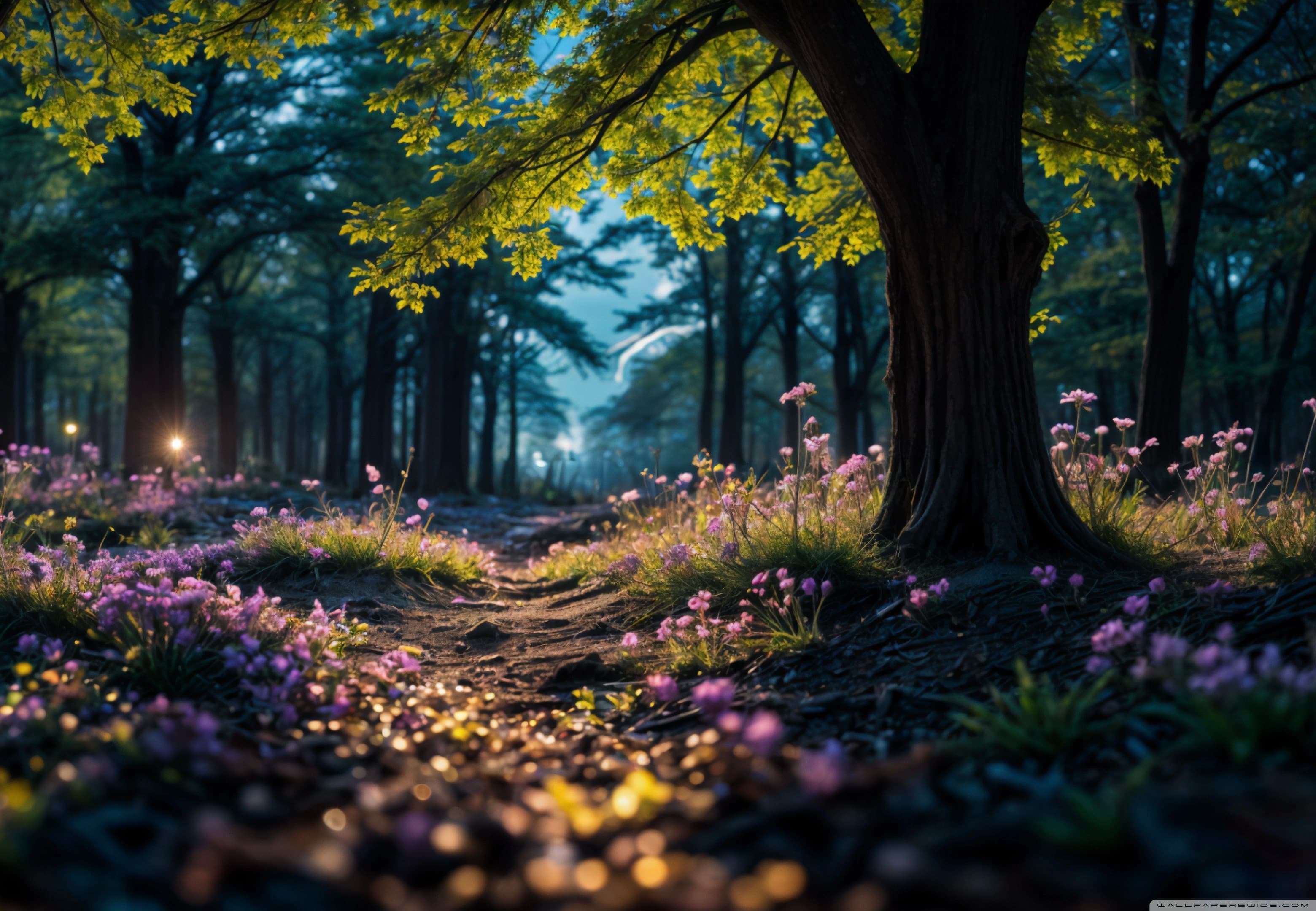 Reference photo for fairy forest Oil Painting Reyhan Uyanik