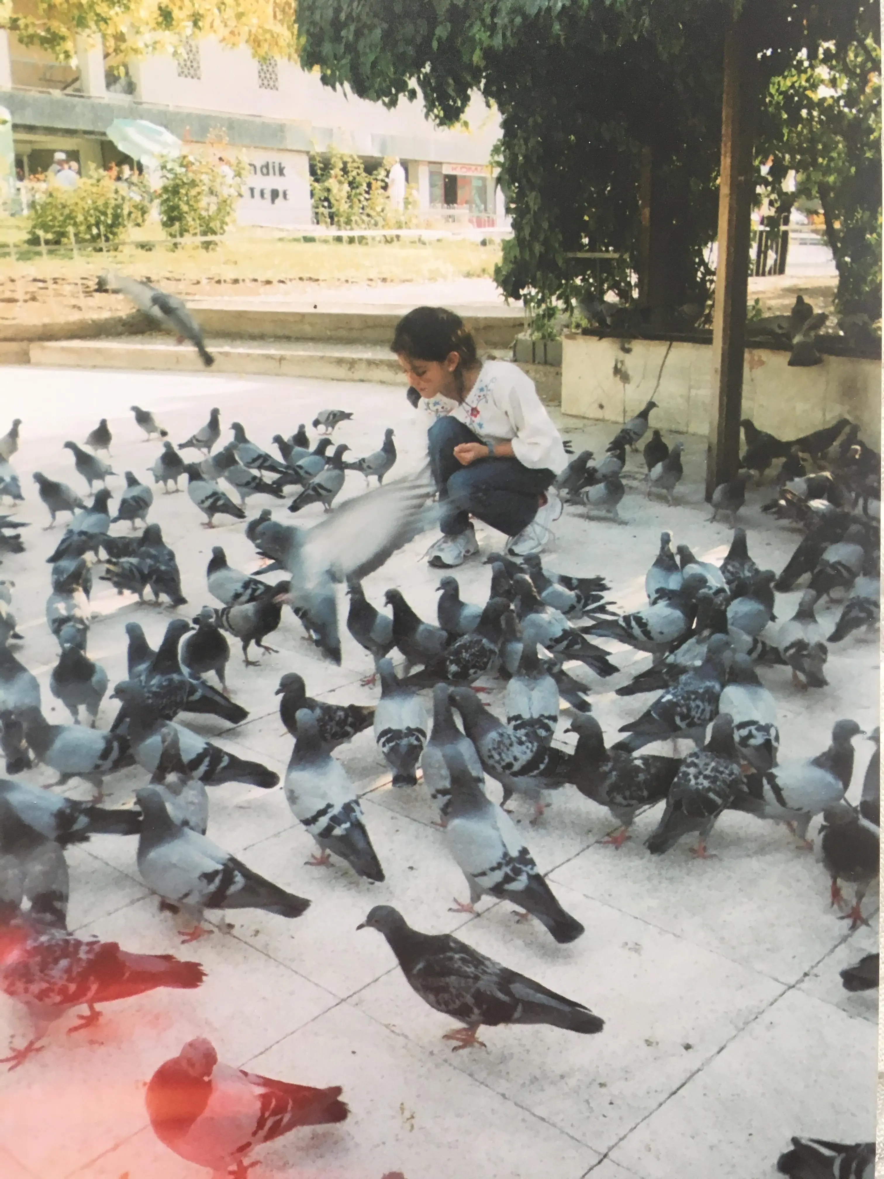 Thoughts on Getting Older