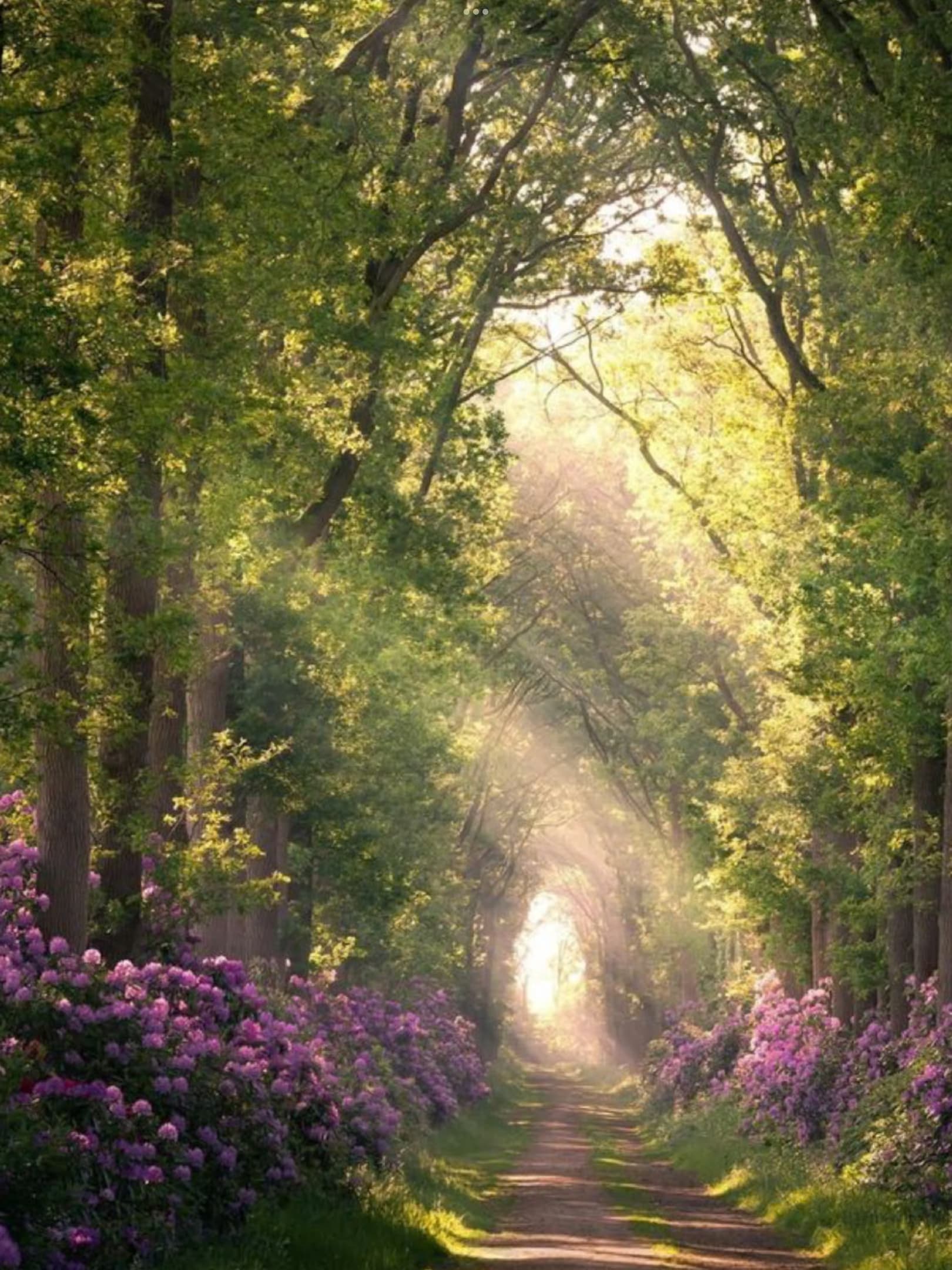 Reference photo for Walking to the light Oil Painting Reyhan Uyanik