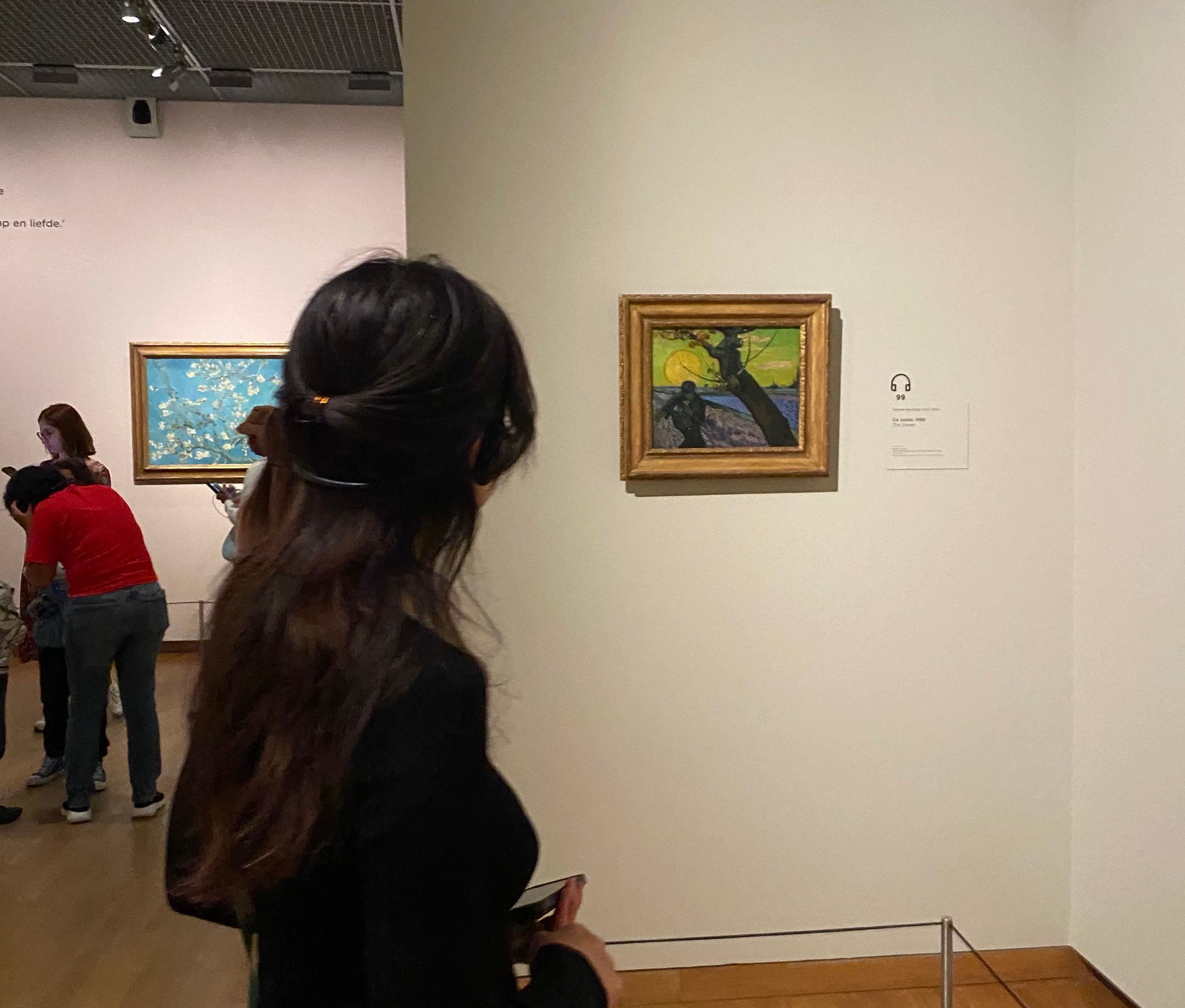 Beginner's Guide to Color